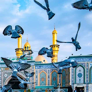 @adil_jan512