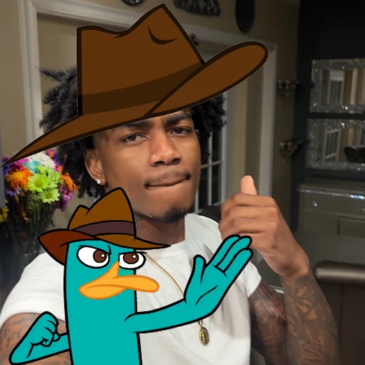 vote4perry