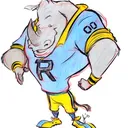 @riebeeckstadhighs