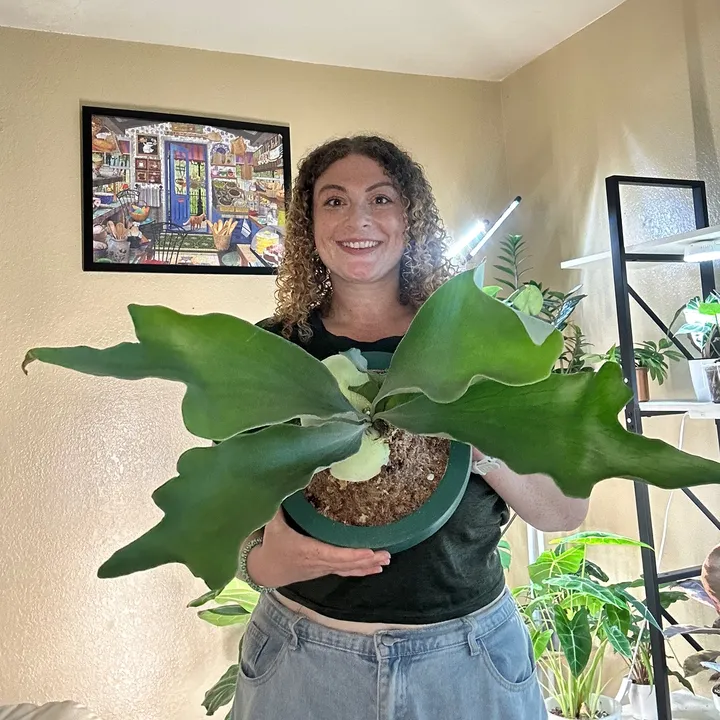 plantparenthood93