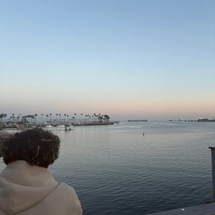 alysaliug1azer