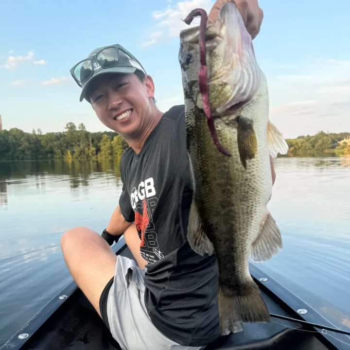 @mattdoesfishing