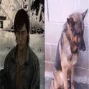 @tr4sh.puppyy