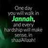 hamzas_mama15