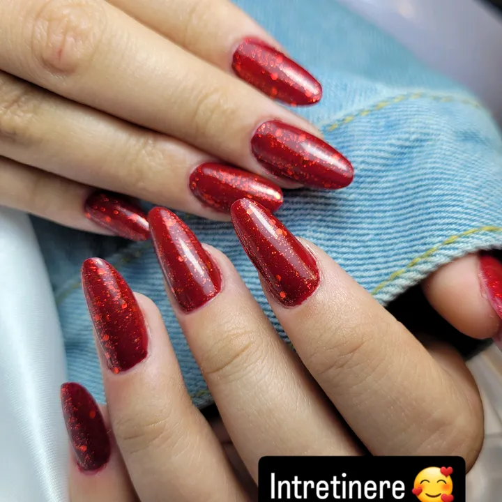 @erikastoica692