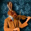 rabbitspace_