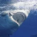 @funny_videos_daily_lol