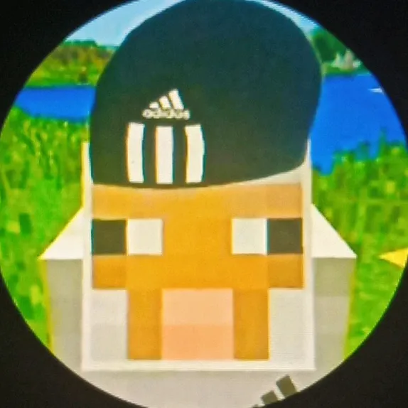 _vigarik