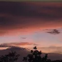 @romainicelexa