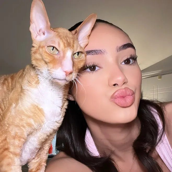 @toya7115