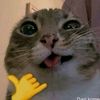 notrealdante_1