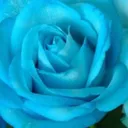 @skyblue.2222