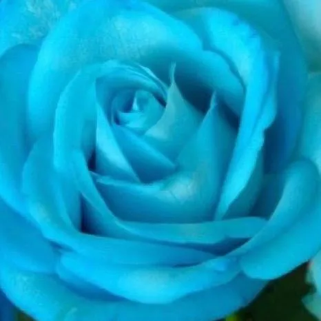 @skyblue.2222