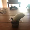 @quadirnasirishere3