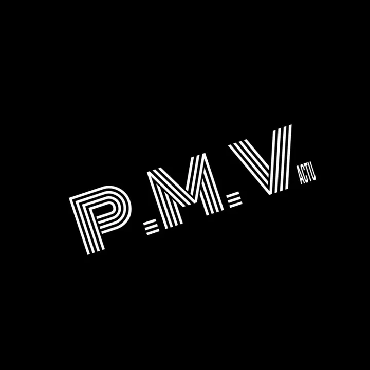 @p.m.v.actu