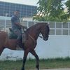 juanan5933