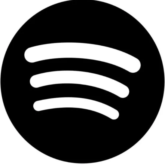@spotifyparoles00