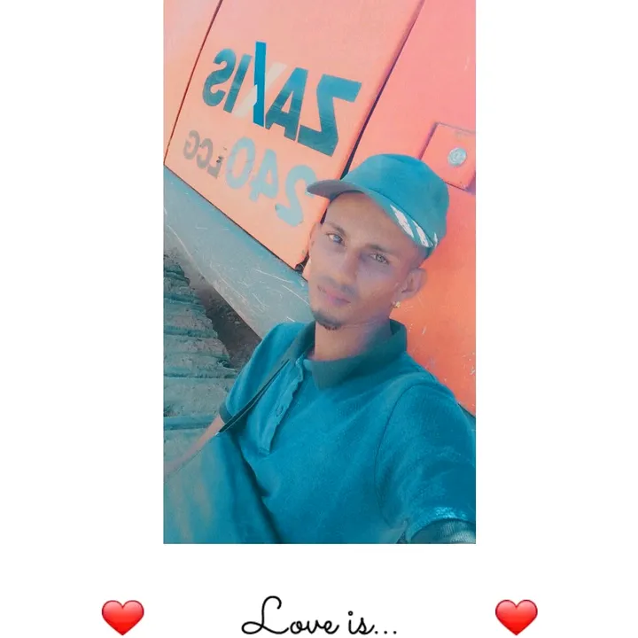 shayan.raml