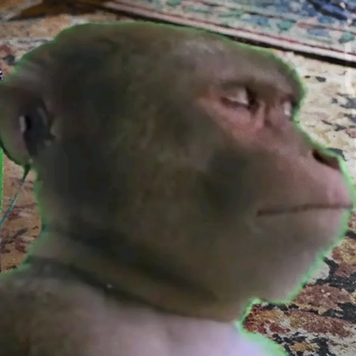 @will_nenexd