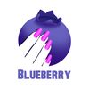 blueberry_nails_shop