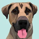@designsbydaisy.oldacc
