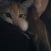 merci_tiff
