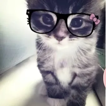 cleocleocat1
