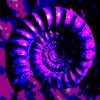stinkstersaccount