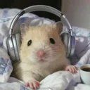 @freemusic1688