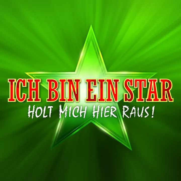 ichbineinstar.de