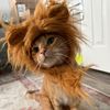 catmum_stef