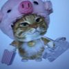user11051287279614