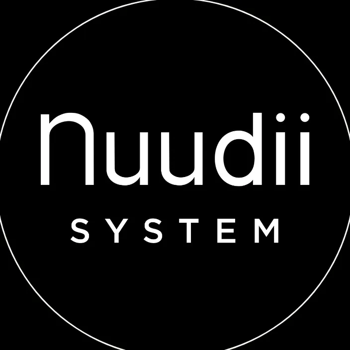 nuudiisystem