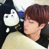 taetanniez