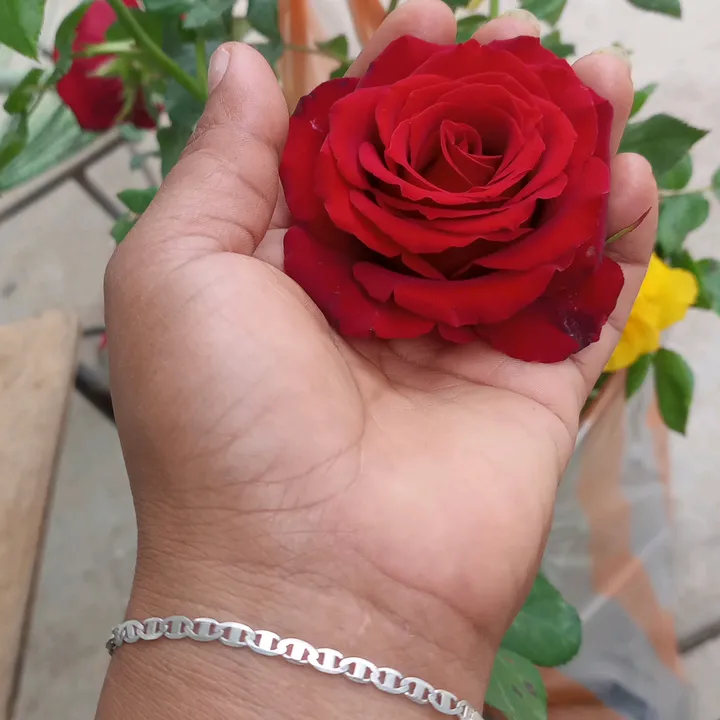 floryulitsi