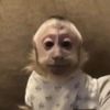 thisisnotchloo