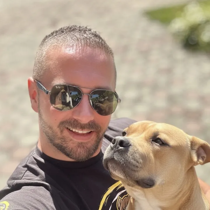 golden_wolf_dogtraining