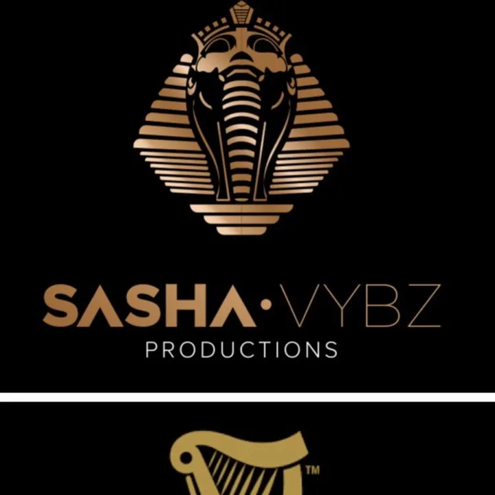 @sashavybzproductions