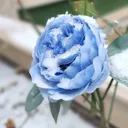 @avtoremix6
