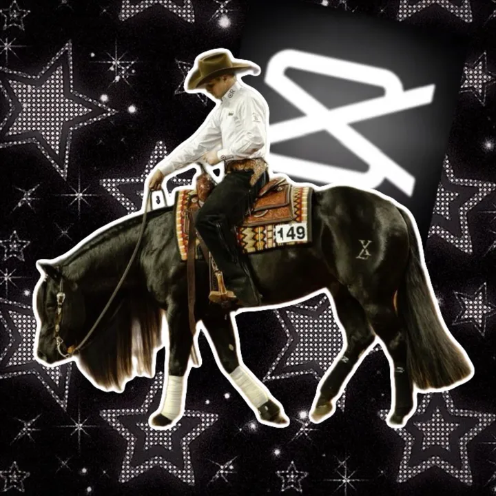 equestrianedits.x0x0