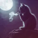 @unknownr2y