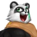 @pandvil