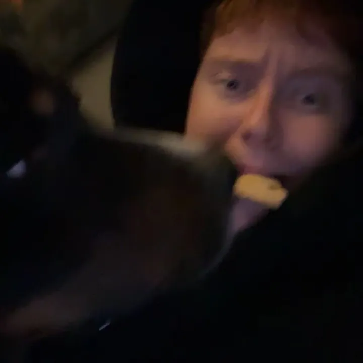 @annika1608_