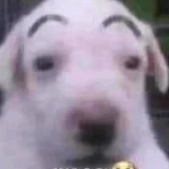 untu_bentxd
