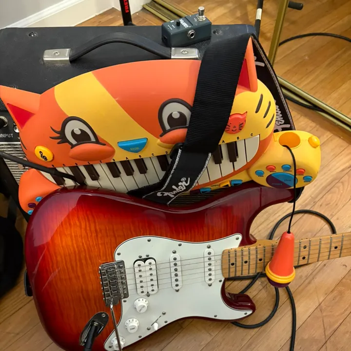 @davethecatpiano