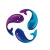 drtimsaquatics