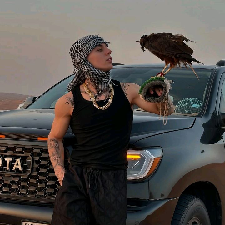 𝗙𝗹𝘆_𝗦𝗻𝗼𝗪 - original sound
