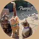 @purrfectspark