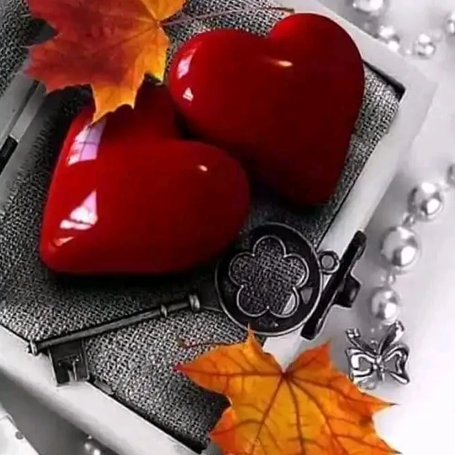 @saadeti_huzur34