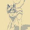 skywlar_3